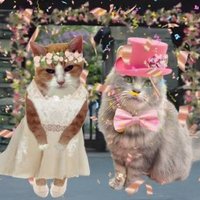 Rosie, Mrs Bear (@annebrindleanne) 's Twitter Profile Photo Rosie, Mrs Bear (@annebrindleanne) 's Twitter Profile Photo