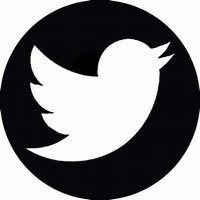 A Pig (@a_tweeting_pig) 's Twitter Profile
