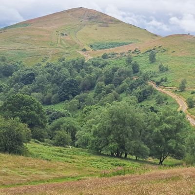 Great Ale. The Arsenal. Hiking. Music .A born cynic. Nudge unit resistant.