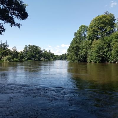 OldDragon76's profile picture. Welcome! If freedom's your jam, laissez-faire's where it's at. Let's grow together!
Choices are personal, value is subjective.