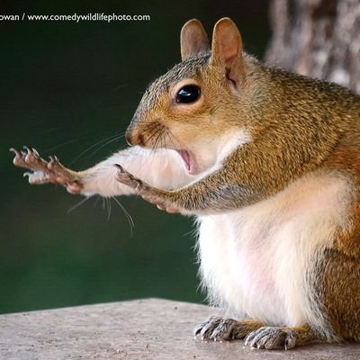 badboy90215's profile picture. B.D.S.M enthusiastic