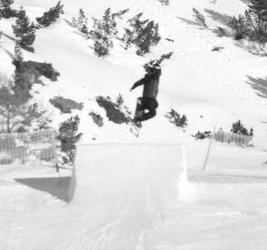 swodis's profile picture. Father. Husband. Son. IT security engineer. Skateboarder. Snowboarder. Gamer.