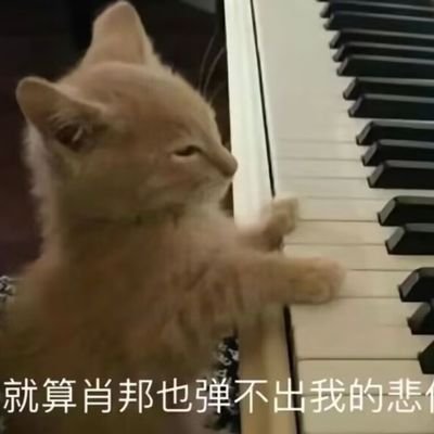 JJinze68433's profile picture. 