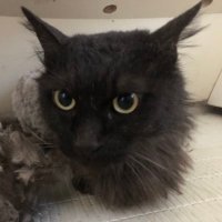 絶翔音@Xも投資も初心者🔰💦 (@zettonkun0) Twitter profile photo