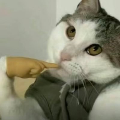 WICOKさんのプロフィール画像