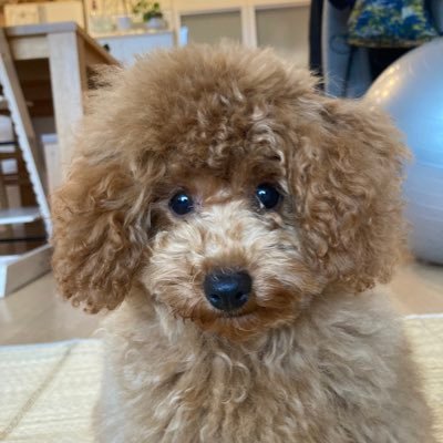 slide2kslide2's profile picture. 