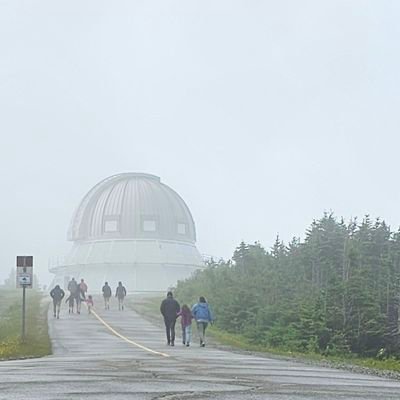 PlamFred's profile picture. 