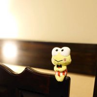 けろっぴとかわずさん (@keroppitokawazu) Twitter profile photo