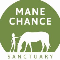 Mane Chance (@manechance) 's Twitter Profile Photo Mane Chance (@manechance) 's Twitter Profile Photo