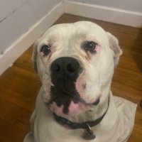 SweetPotatoCouch (@farmnfishman) 's Twitter Profile