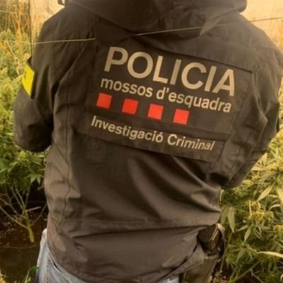 Policia-Mosso d'Esquadra
Opinions Personals
Block comptes B i cadenat