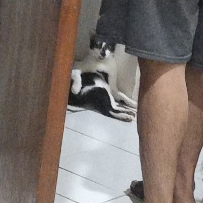 na_peony's profile picture. 