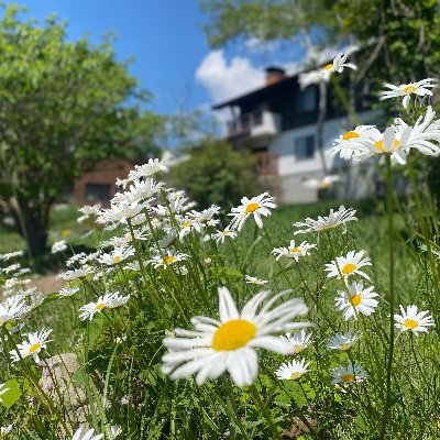 Bassy1125's profile picture. アラフォーOtomodachi💛・安藤さん💙・ALAs
アカウント引っ越しました。