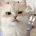 dein โงโ *โ ใ (@whoopzton) Twitter profile photo dein โงโ *โ ใ (@whoopzton) Twitter profile photo