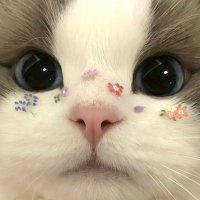 callmebymom (@tenarwapadij) 's Twitter Profile Photo callmebymom (@tenarwapadij) 's Twitter Profile Photo