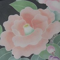 Miranda (@miranda6o6) 's Twitter Profile