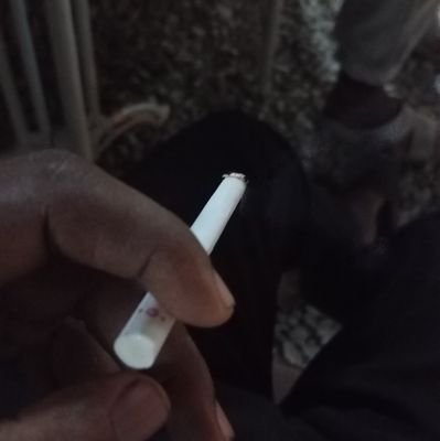 Retaylor15's profile picture. Memento Mori.
Memento vivere.