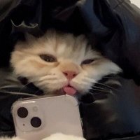 lou (@winkswoojin) 's Twitter Profile Photo lou (@winkswoojin) 's Twitter Profile Photo