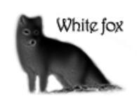 안녕하세요. 화이트폭스입니다.
나만의 공간으로 초대합니다.
--www.white-fox.co.kr--