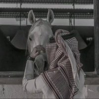 M (@xrx255) 's Twitter Profile