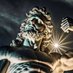 Arisch/Atlantisch (@atlantean199999) Twitter profile photo Arisch/Atlantisch (@atlantean199999) Twitter profile photo