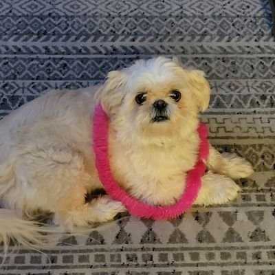 SBlakemore22's profile picture. 