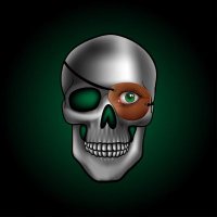 Sekhar Narayan (@rowdyskull) 's Twitter Profile