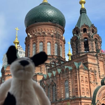 GAVsaDL7lK27056's profile picture. 