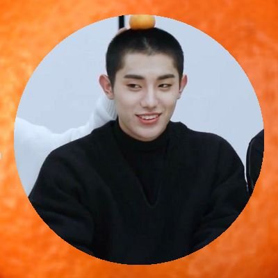 An aspiring homophobic lyonville user || Dio, 23, 🏳️🌈 || CEO of tangurin Mill || ot7 🦁 ot5 💎