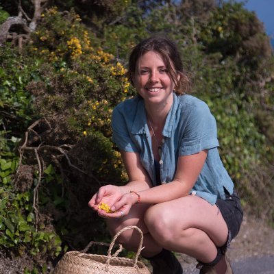 Freelance writer, Body-Centred Life Coach, Natural Chef