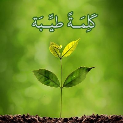 كلمةً_طيبة Profile
