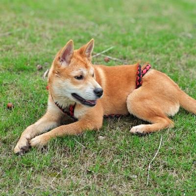 hrnixul's profile picture. 