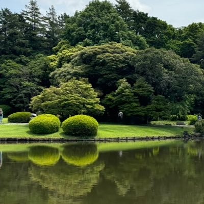 jinzeliu_'s profile picture. 