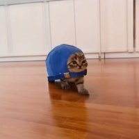 CAP - CTO (@ctocap) 's Twitter Profile