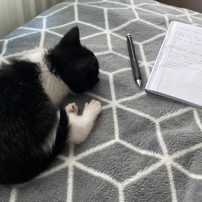 ctlysonsuz's profile picture. sadece ben :)