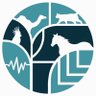 Rahmah_ksa's profile picture. جمعية سعودية لخدمات حماية ورعاية الحيوانات والمحافظة عليها والرفق بها - ترخيص رقم 1908 ،، Nonprofit organization for animal welfare License#1908