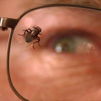 best of breaking bad (@bestofbreakin) 's Twitter Profile Photo best of breaking bad (@bestofbreakin) 's Twitter Profile Photo