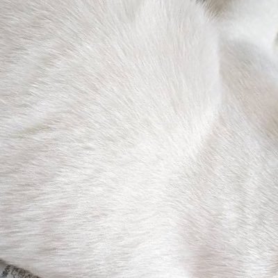 xF0A2fXv3K76241's profile picture. I want to be able to English! so I learn English! I can speak Japanese. I can teach Japanese 読書家