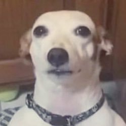 ITheOneAndOnlyI's profile picture. 