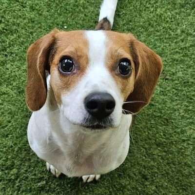 ZIppieNP's profile picture. Farmer's daughter, health care provider, truth seeker 🌻🍄‍🟫🎶 Integrative medicine. Dog lover. Hope for humanity. Gen Xer