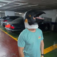 Pingüi (@pinguidmorrigan) 's Twitter Profile