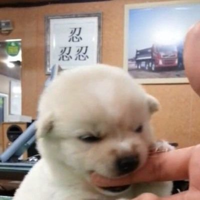 killingYG's profile picture. 대학가야되