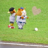 ウミ (@seeaa_aa) 's Twitter Profile