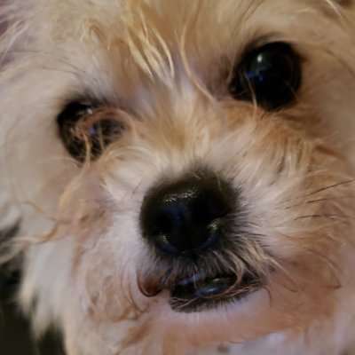 HierroCon's profile picture. We love Warhammer!