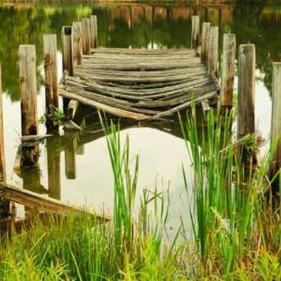 WBulah87106's profile picture. 