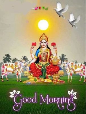 NagarajanN83611's profile picture. 