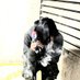  (@rollinthrax) Twitter profile photo  (@rollinthrax) Twitter profile photo
