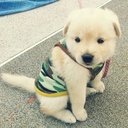 다미양 - @Dami_dada - Twitter