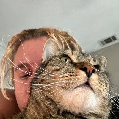 bindiistraw's profile picture. he/him/his lisa rinna is my spirit animal