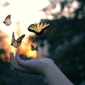 Nothing is more beautiful than Nature.
Believe in karma💫 Mahadev💫🙏
#Nature 💞 #faltu DM/Tweet🚫